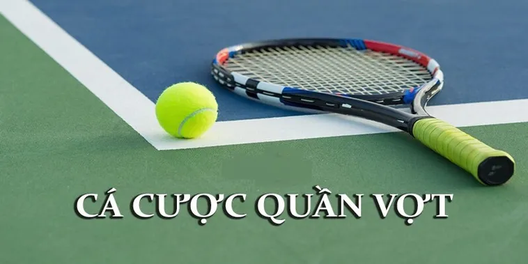 Tìm Hiểu Cá Cược Quần Vợt BSport: Chinh Phục Mọi Kèo Thắng Lớn