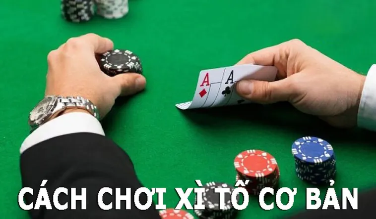 Tìm Hiểu Trò Chơi Xì Tố Tại BSport Hấp Dẫn Vui Vẻ Nhất