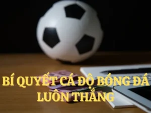 Tìm Hiểu Cá Cược Bóng Đá BSport: Bí Quyết Thắng Lớn Mỗi Trận