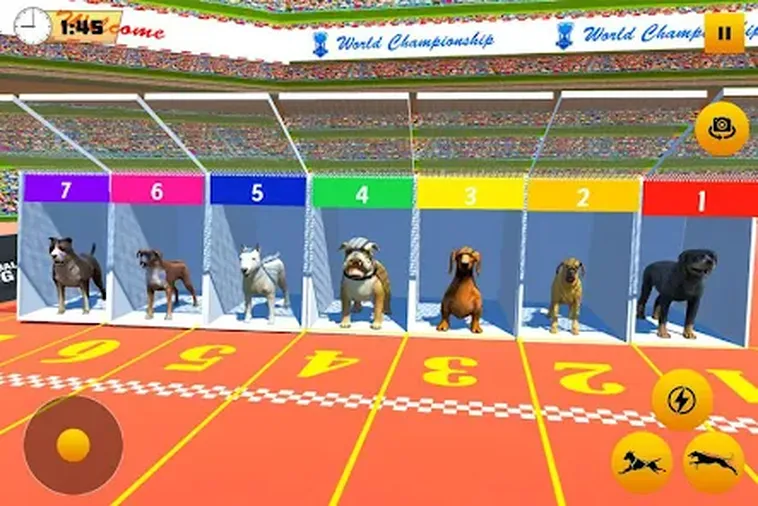 Cách Chơi Game Nhanh Đua Chó Tại BSport Thú Vị Kịch Tính Và Hấp Dẫn